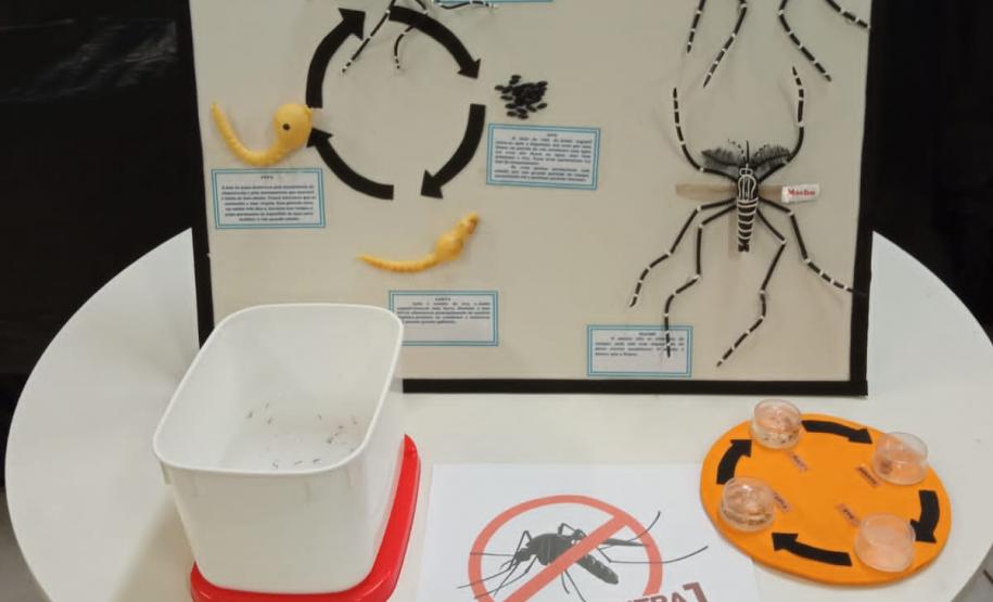 Ações em todo o Estado marcam o “Dia D” no combate à dengue