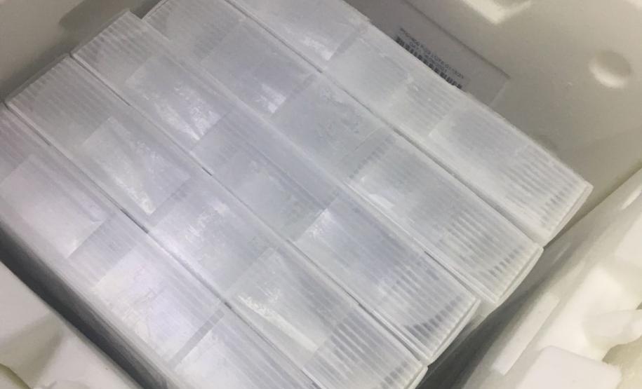 Mais 420 mil doses de vacinas contra a Covid-19 chegam ao Paraná