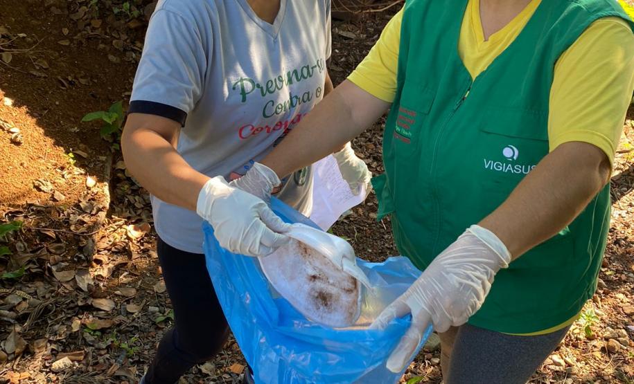 Ações em todo o Estado marcam o “Dia D” no combate à dengue