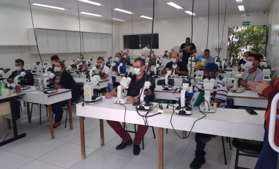 Ações em todo o Estado marcam o “Dia D” no combate à dengue