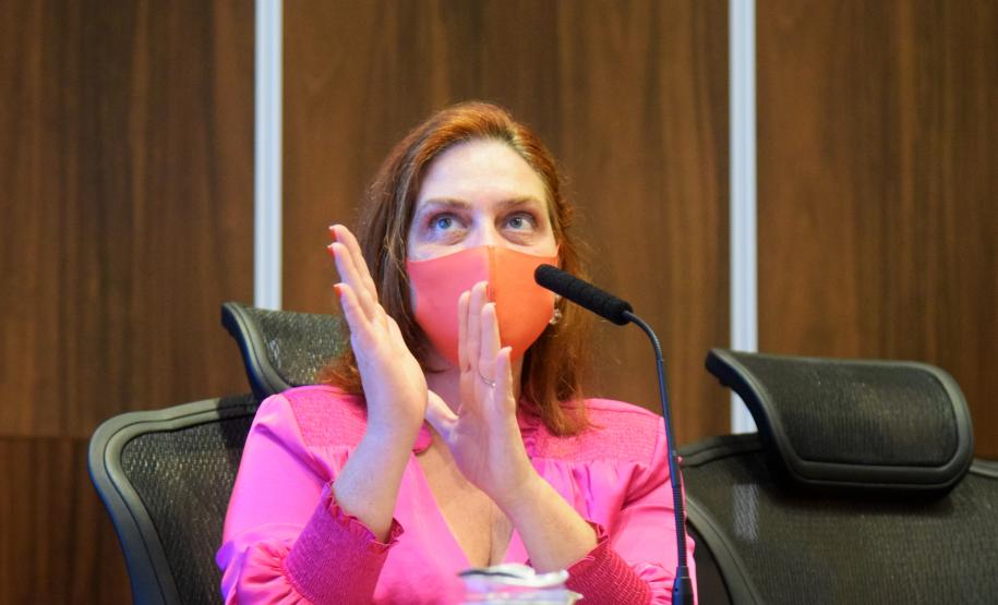 Pioneiro na implementação regional, Paraná retoma discussão dos ODS