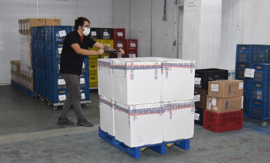 Mais 170 mil vacinas contra a Covid-19 para adolescentes chegam ao Paraná