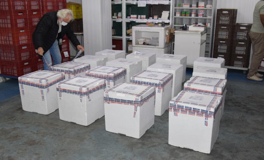 Mais 170 mil vacinas contra a Covid-19 para adolescentes chegam ao Paraná