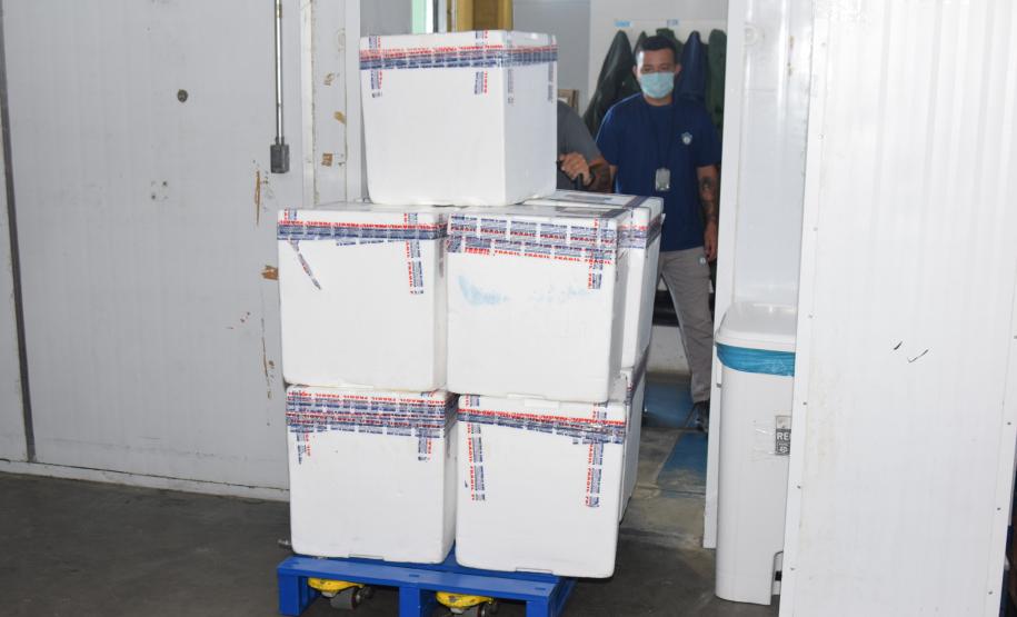 Mais 170 mil vacinas contra a Covid-19 para adolescentes chegam ao Paraná