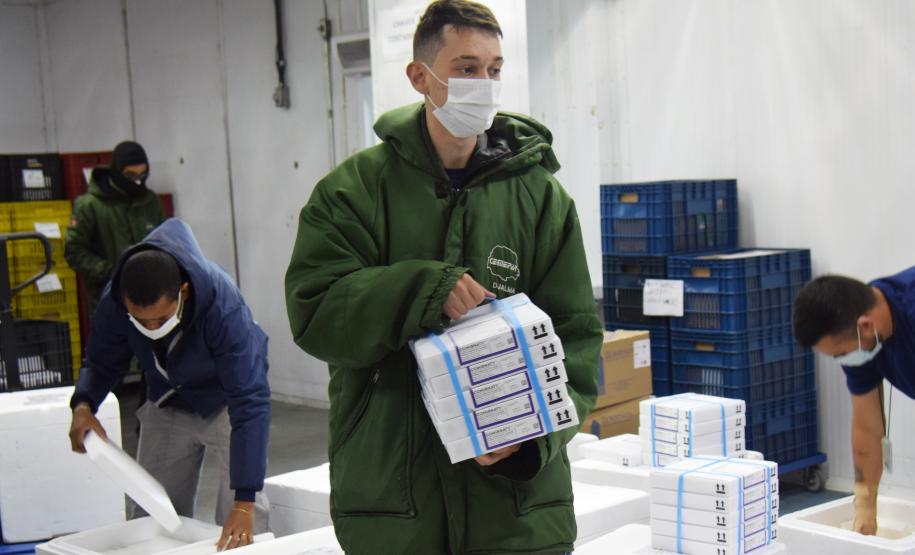 Mais 170 mil vacinas contra a Covid-19 para adolescentes chegam ao Paraná