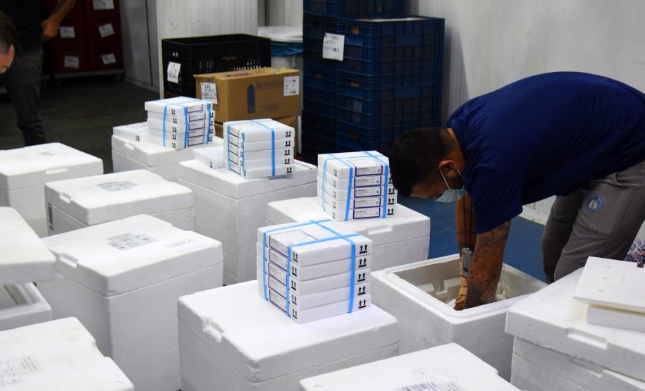 Mais 170 mil vacinas contra a Covid-19 para adolescentes chegam ao Paraná