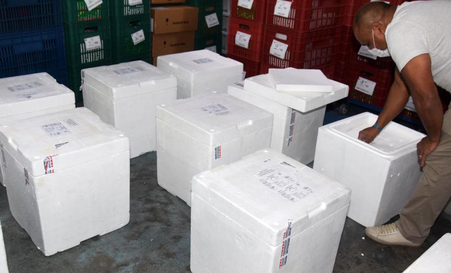 Semana inicia com a chegada de 161.460 novas doses de vacinas contra a Covid-19