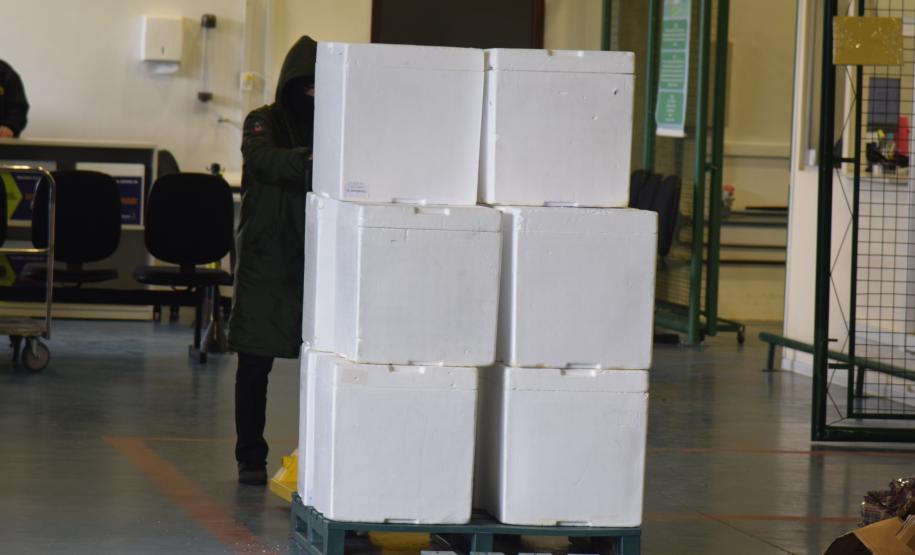 Estado recebe mais de 67,8 mil vacinas contra a Covid-19 nesta terça