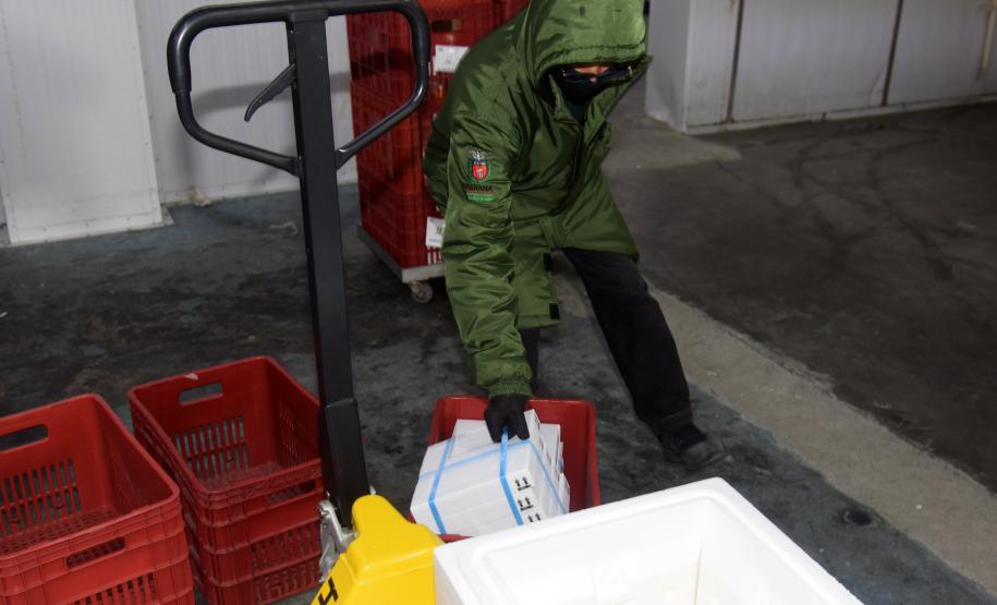 Estado recebe mais de 67,8 mil vacinas contra a Covid-19 nesta terça