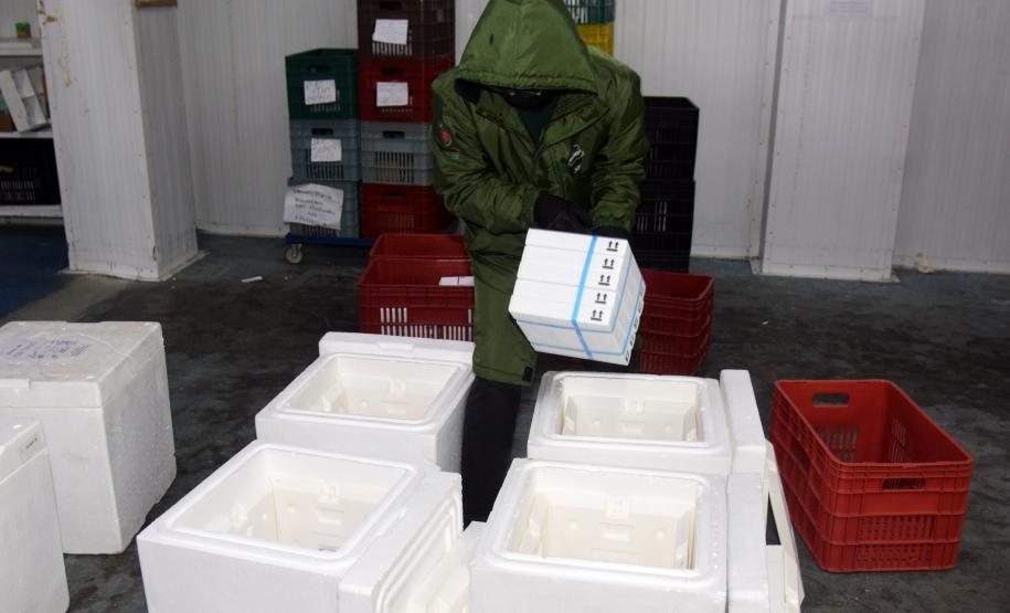 Estado recebe mais de 67,8 mil vacinas contra a Covid-19 nesta terça