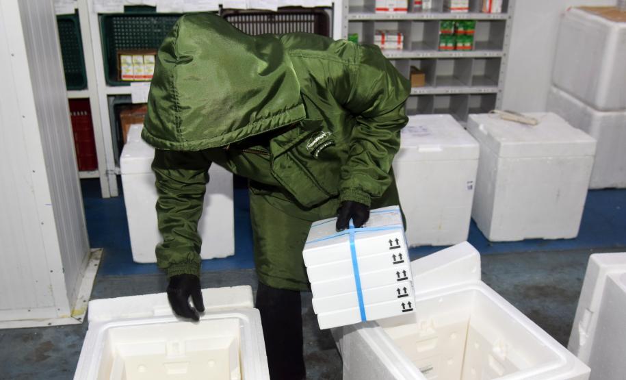 Estado recebe mais de 67,8 mil vacinas contra a Covid-19 nesta terça