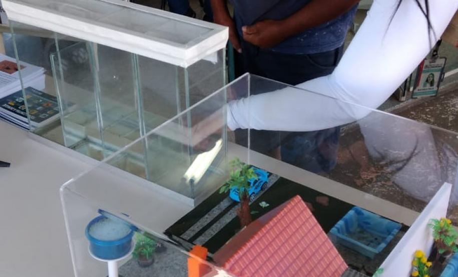 Ações em todo o Estado marcam o “Dia D” no combate à dengue