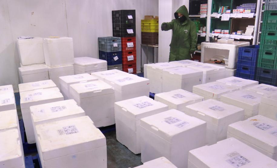 Paraná recebe 278 mil vacinas contra a Covid-19 para adolescentes, segunda dose e municípios de fronteira