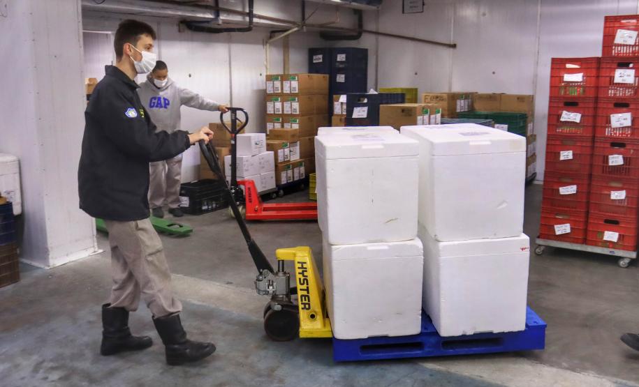 Paraná recebe 278 mil vacinas contra a Covid-19 para adolescentes, segunda dose e municípios de fronteira