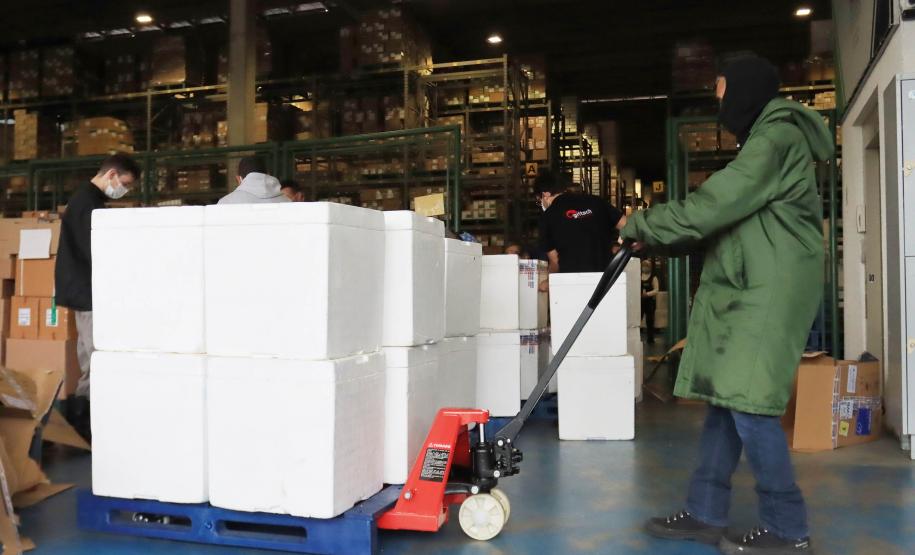 Paraná recebe 278 mil vacinas contra a Covid-19 para adolescentes, segunda dose e municípios de fronteira