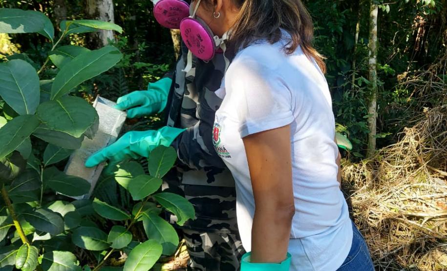 Casos de Hantavirose no Estado acionam equipes da vigilância em saúde