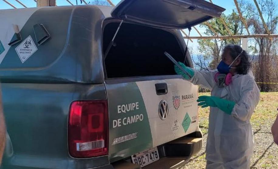 Casos de Hantavirose no Estado acionam equipes da vigilância em saúde