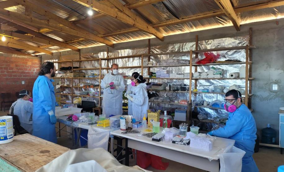 Casos de Hantavirose no Estado acionam equipes da vigilância em saúde