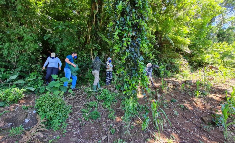 Casos de Hantavirose no Estado acionam equipes da vigilância em saúde