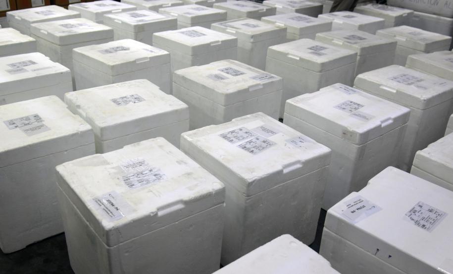 Paraná recebe novas vacinas contra a Covid-19 para dose reforço da população