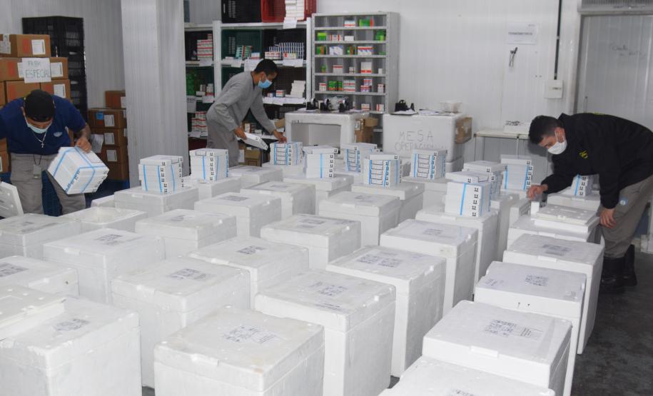 Paraná recebe novas vacinas contra a Covid-19 para dose reforço da população