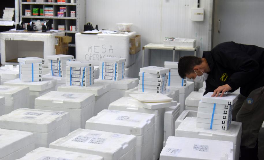 Paraná recebe novas vacinas contra a Covid-19 para dose reforço da população