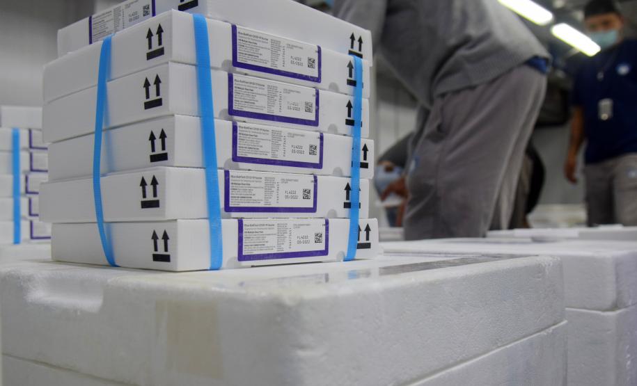 Paraná recebe novas vacinas contra a Covid-19 para dose reforço da população