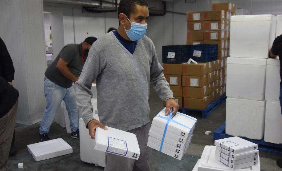 Paraná recebe novas vacinas contra a Covid-19 para dose reforço da população