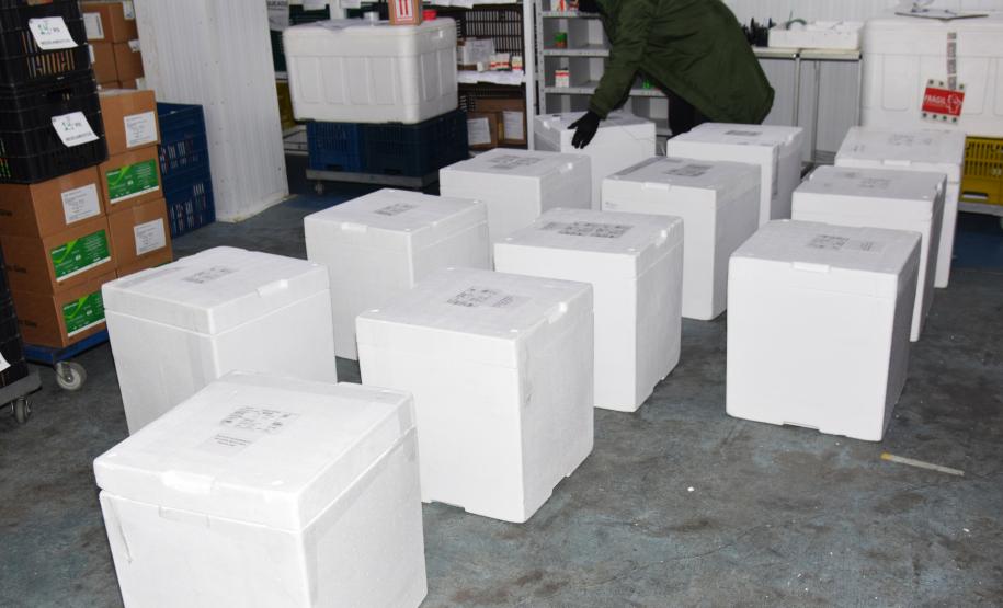 A Secretaria de Estado da Saúde (Sesa) recebeu nesta quarta-feira (8) mais 240.548 vacinas contra a Covid-19.