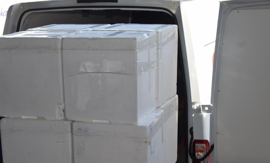 Mais 138 mil vacinas contra a Covid-19 para dose reforço chegam ao Estado