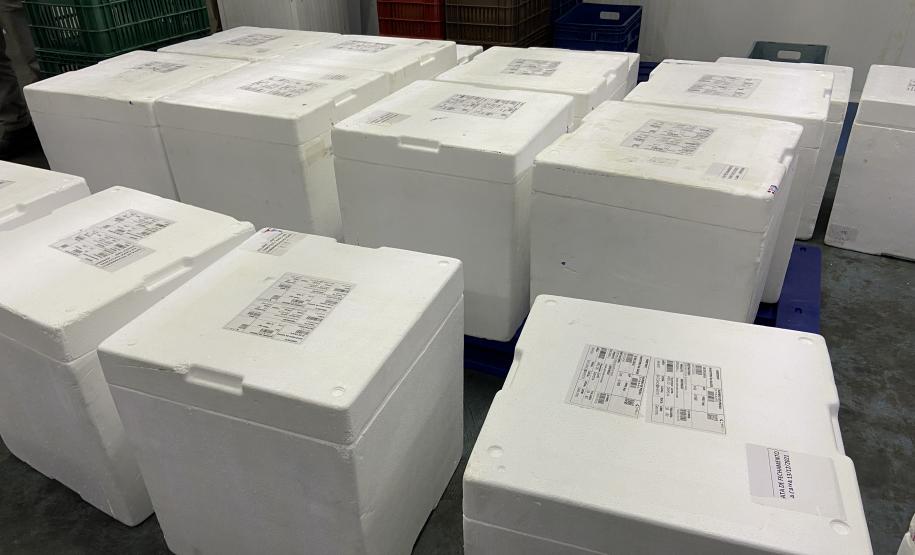 Estado recebe mais 136 mil vacinas contra a Covid-19