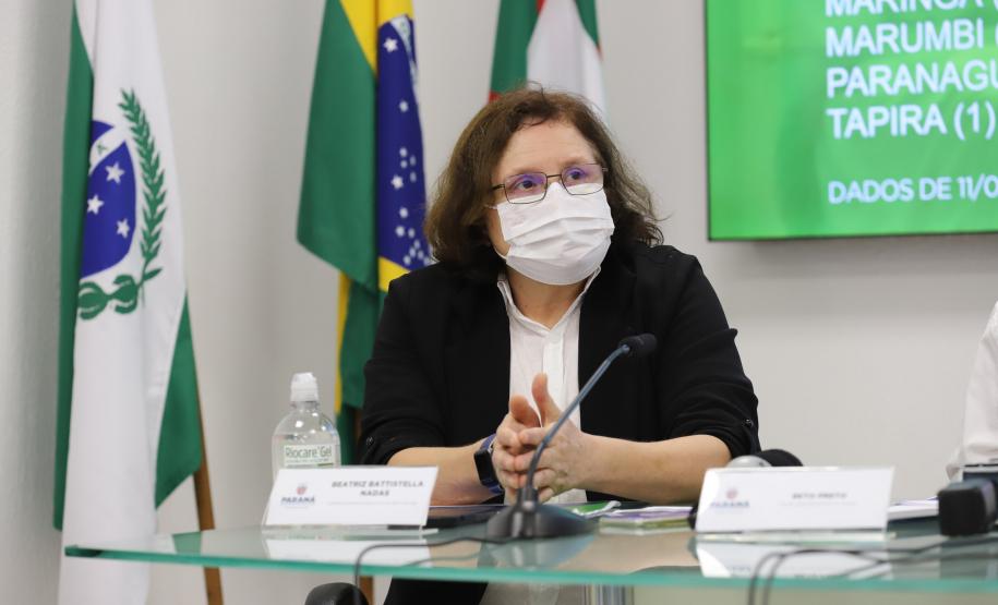 Paraná declara estado de epidemia de H3N2