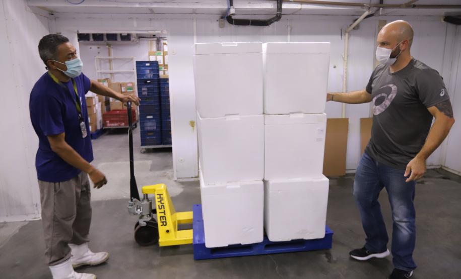 Saúde recebe maior remessa de vacinas contra a Covid-19 desde o início da campanha de vacinação