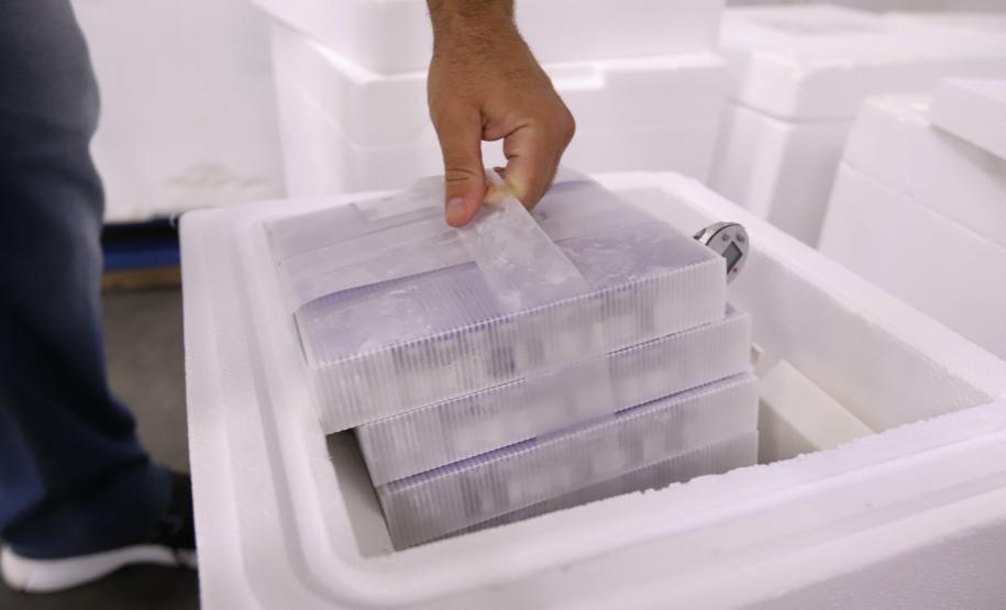 Saúde recebe maior remessa de vacinas contra a Covid-19 desde o início da campanha de vacinação