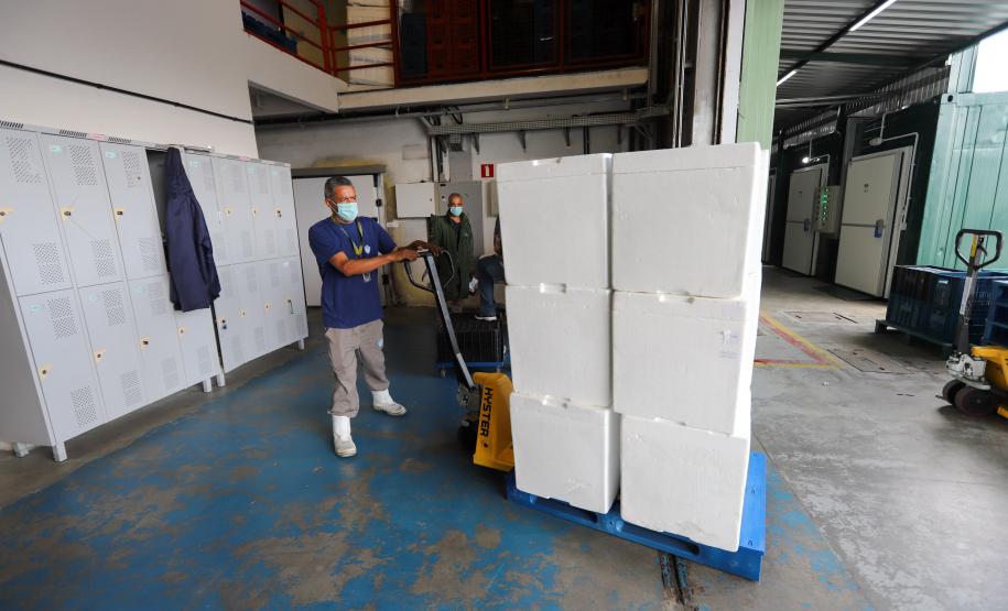 Saúde recebe maior remessa de vacinas contra a Covid-19 desde o início da campanha de vacinação