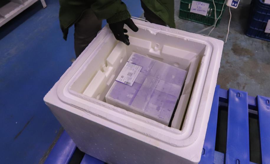 Saúde recebe maior remessa de vacinas contra a Covid-19 desde o início da campanha de vacinação