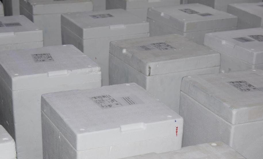 Saúde recebe mais 567 mil vacinas contra a Covid-19 e inicia distribuição ainda hoje para Regionais