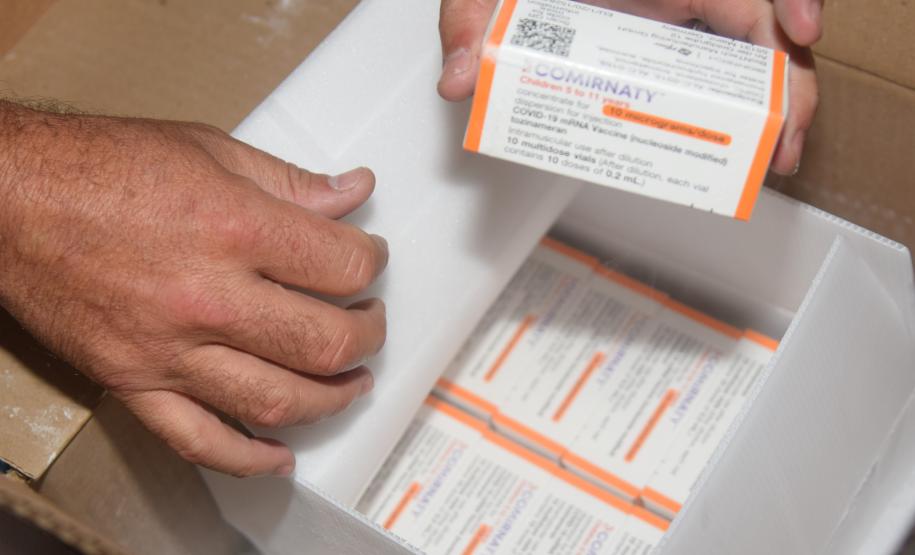 Nova remessa de vacinas pediátricas chega ao Estado