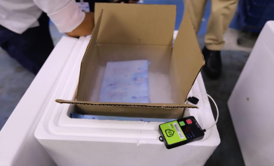 Paraná recebe primeiro lote com 65,5 mil vacinas contra a Covid-19 para crianças de 5 a 11 anos