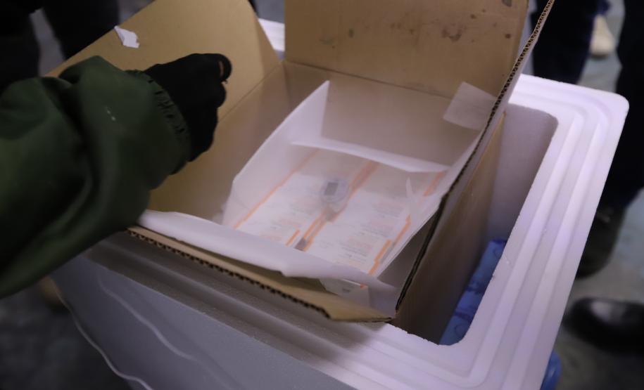 Paraná recebe primeiro lote com 65,5 mil vacinas contra a Covid-19 para crianças de 5 a 11 anos