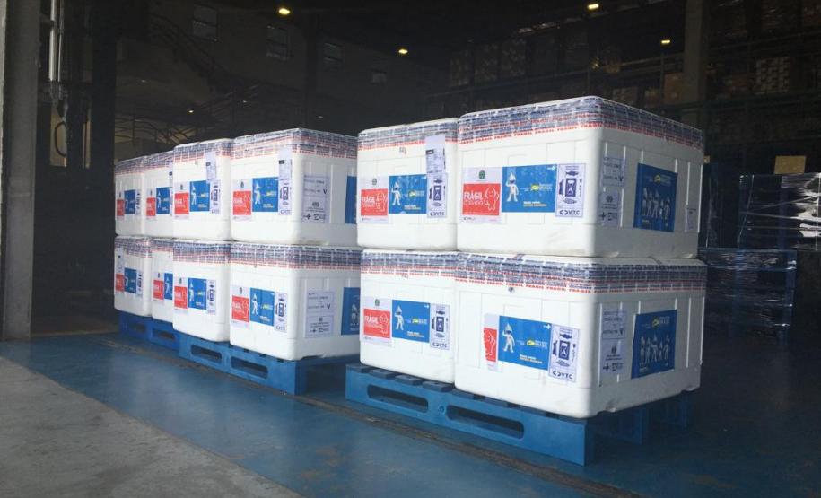 Mais 450 mil vacinas chegam ao Paraná e outras 354 mil ainda são aguardadas