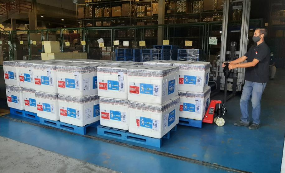 Mais 450 mil vacinas chegam ao Paraná e outras 354 mil ainda são aguardadas