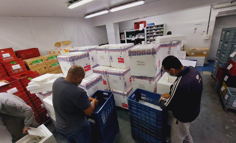 Paraná recebe 914 mil vacinas contra a Covid-19 e mais 294 mil Pfizer devem chegar ainda hoje