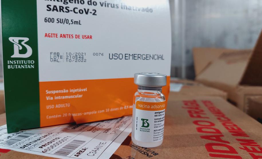 Paraná recebe 914 mil vacinas contra a Covid-19 e mais 294 mil Pfizer devem chegar ainda hoje