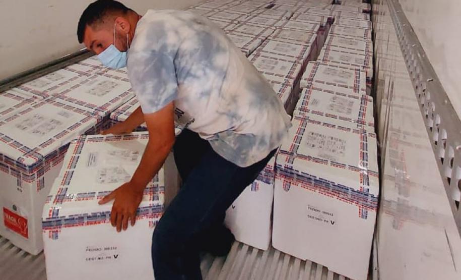 Paraná recebe 914 mil vacinas contra a Covid-19 e mais 294 mil Pfizer devem chegar ainda hoje