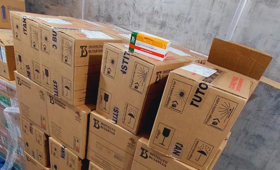 Paraná recebe 914 mil vacinas contra a Covid-19 e mais 294 mil Pfizer devem chegar ainda hoje