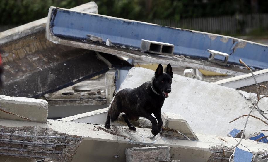 Simulado de cena encerra treinamento da Força Nacional do SUS no Paraná