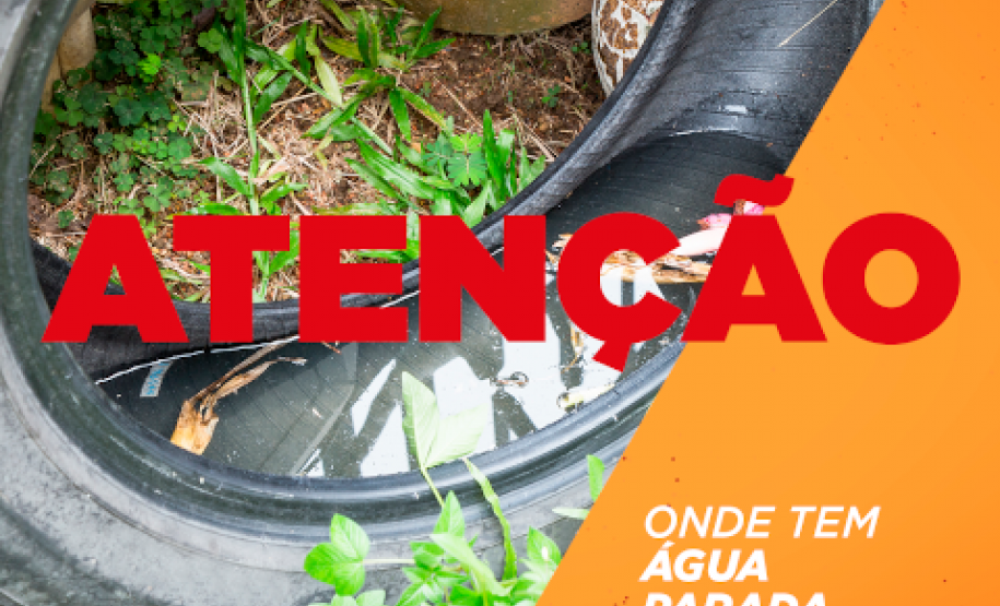 Secretaria realiza 1ª reunião do Comitê Intersetorial de Controle da Dengue