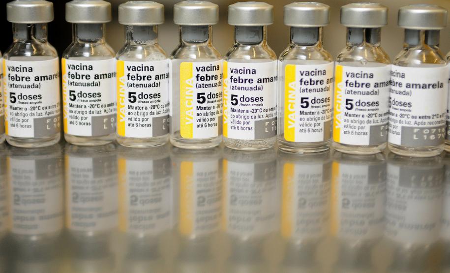 Paraná está há quase três anos sem registrar casos de febre amarela em humanos