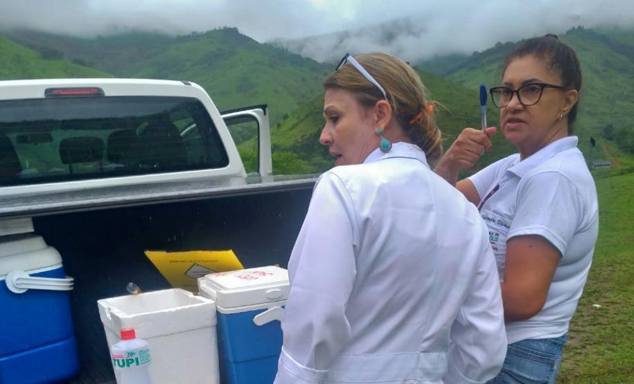 Paraná está há quase três anos sem registrar casos de febre amarela em humanos